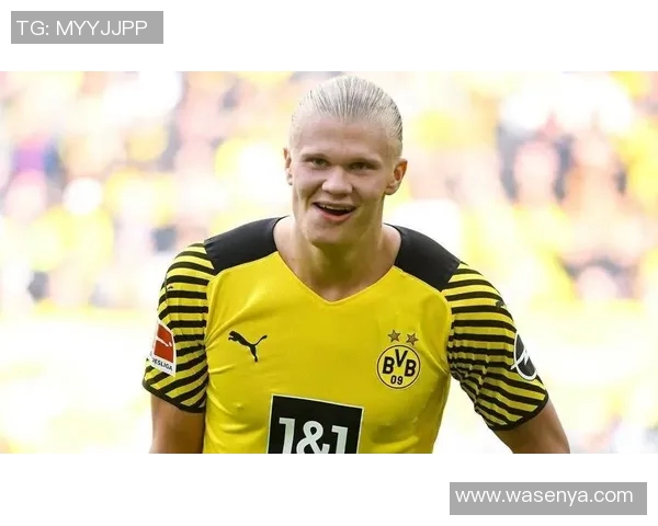 哈兰德：从天才少年到足球巨星的辉煌历程与未来展望